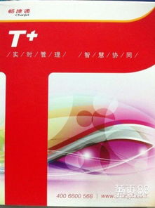 衡水用友軟件公司麒瑞公司 專業(yè)軟件銷售與服務(wù)